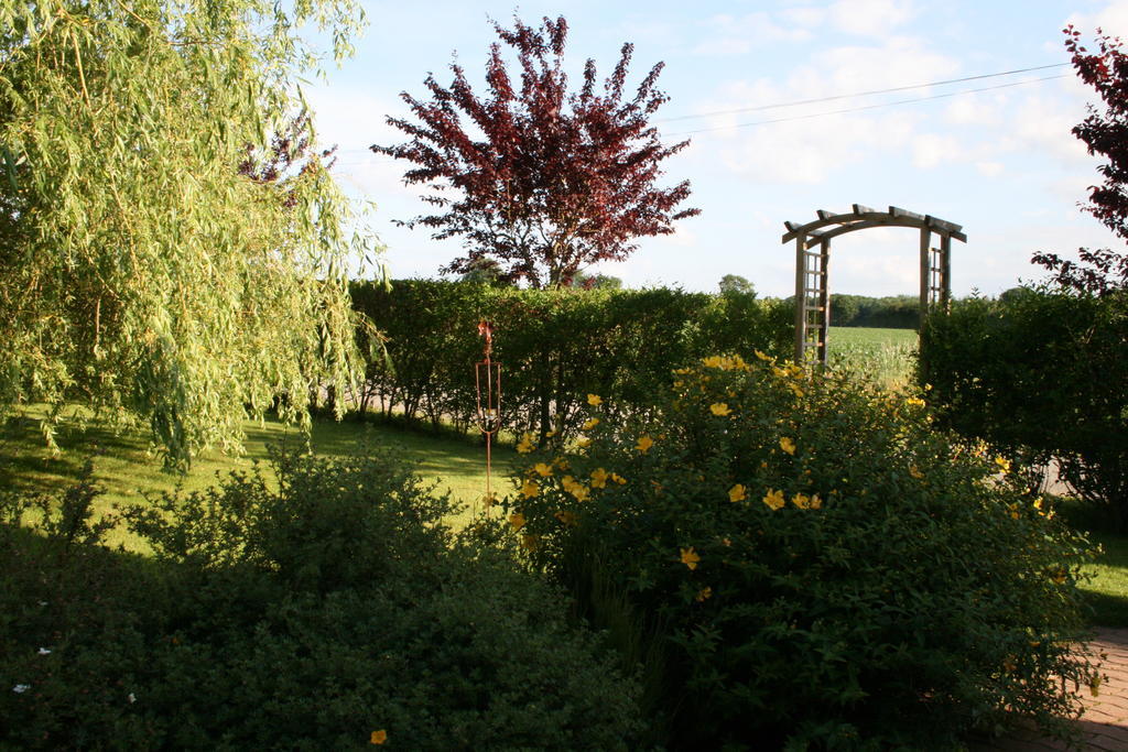 Herbages De Beauvais Orgères-la-Roche Eksteriør bilde